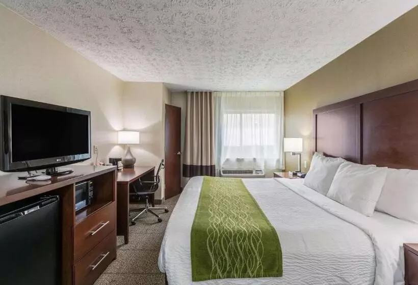 身障者適用キングサイズベッドルーム, Comfort Inn Medfordlong Island