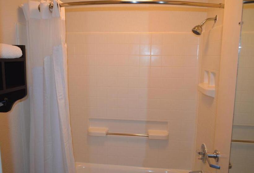 带2个双人床的标准工作室, Howard Johnson By Wyndham Houston Heights/downtown