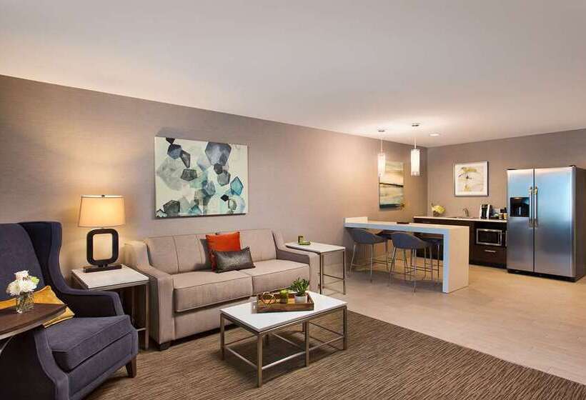 스탠다드 룸 킹사이즈 침대, Roanoke & Conference Ctr, Curio Collection By Hilton 