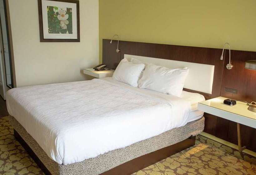 스탠다드 룸 킹사이즈 침대, Roanoke & Conference Ctr, Curio Collection By Hilton 