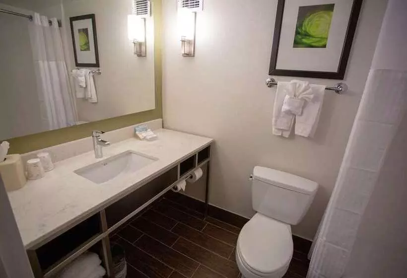 اتاق استاندارد با تخت بزرگ, Roanoke & Conference Ctr, Curio Collection By Hilton 