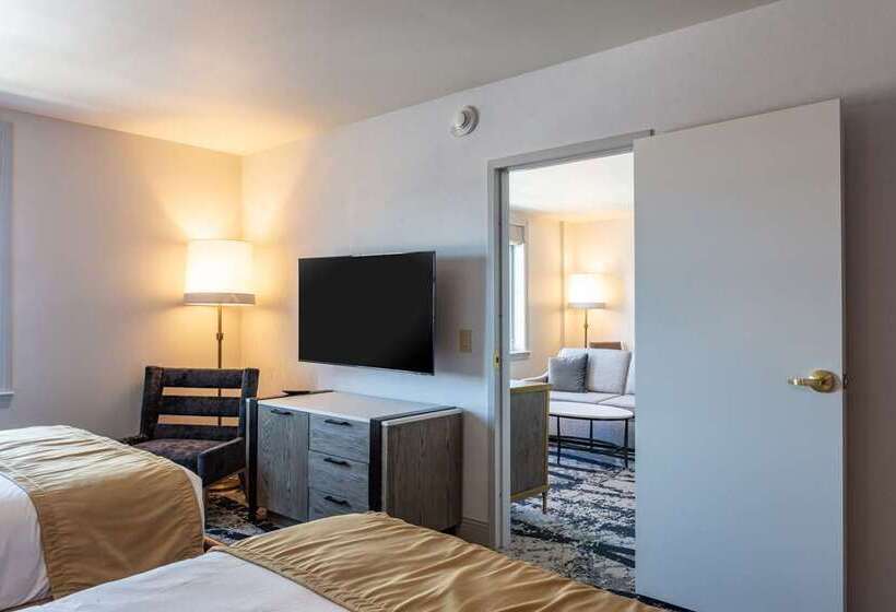 Süit, Roanoke & Conference Ctr, Curio Collection By Hilton 