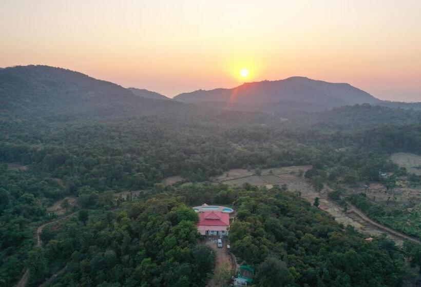 جناح ديلوكس سرير كينج, Porsu