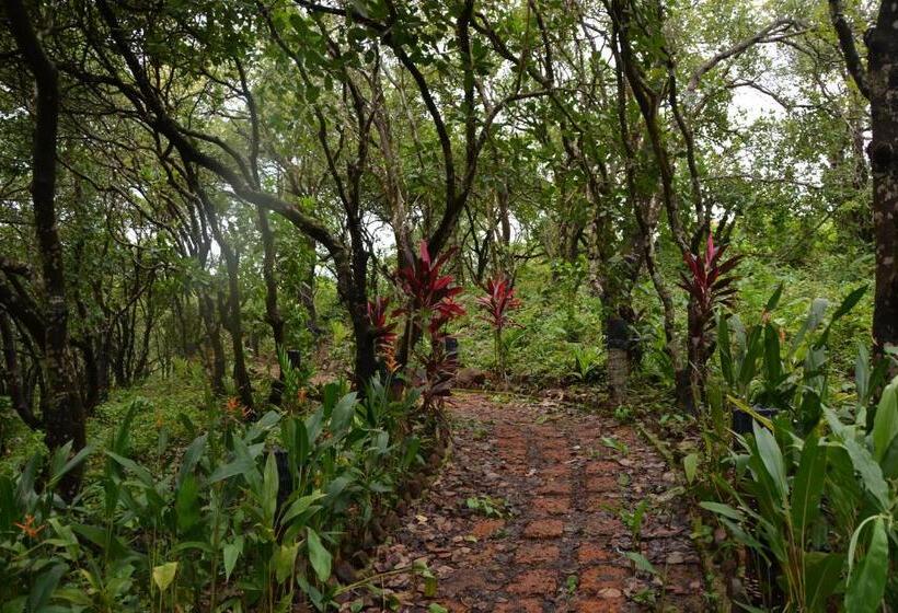 غرفة عائلية مطلّة علي الحديقة, Porsu