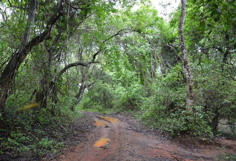 غرفة عائلية مطلّة علي الحديقة, Porsu