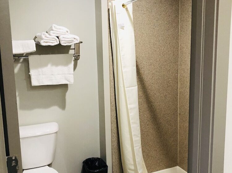 غرفة قياسية سرير كينج, Bel Air Motel