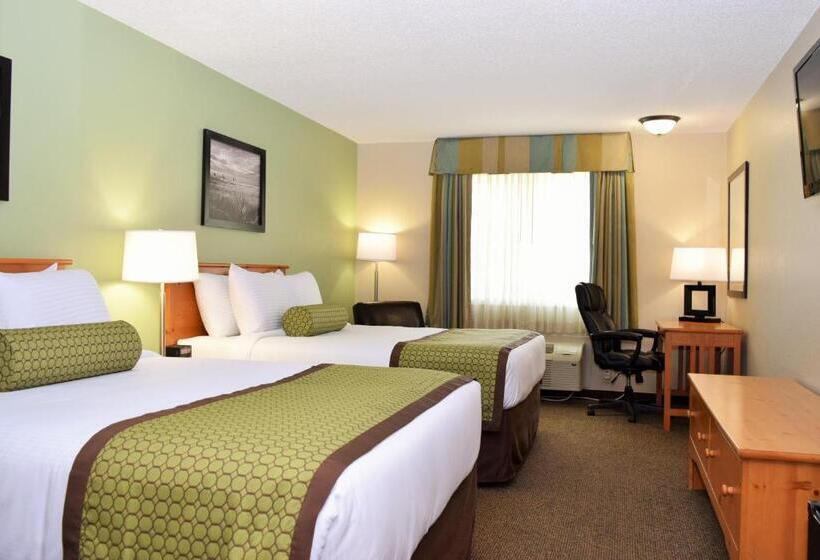 デラックスルーム, Baymont By Wyndham Pierre