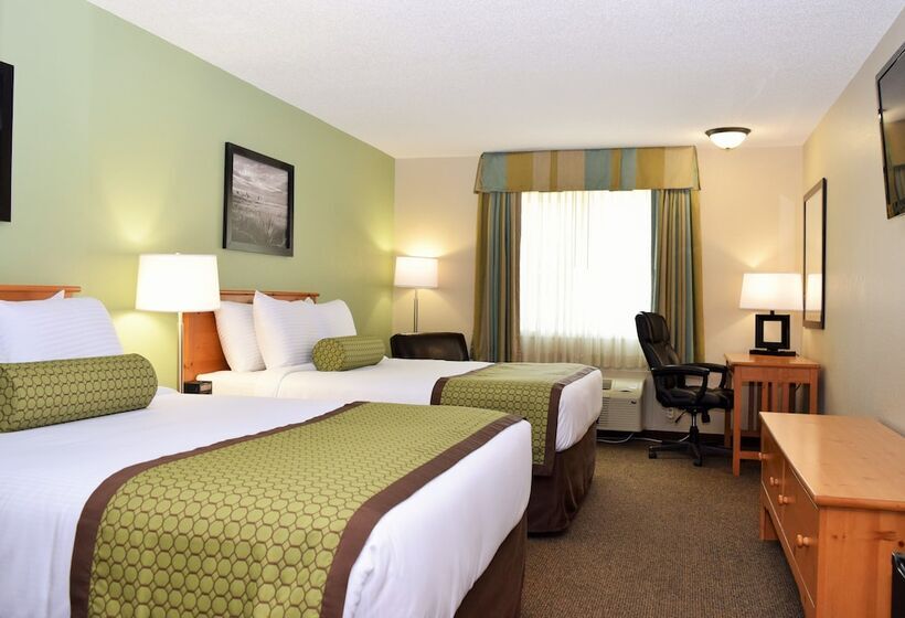 デラックスルーム, Baymont By Wyndham Pierre