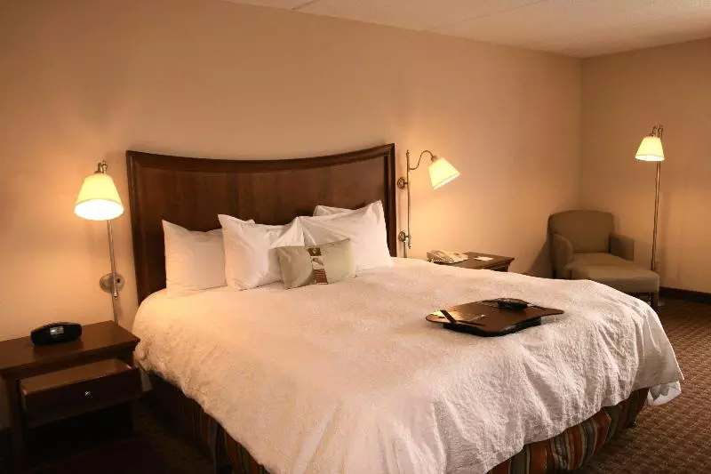デラックスルーム, Kandahar Lodge At Whitefish Mountain Resort