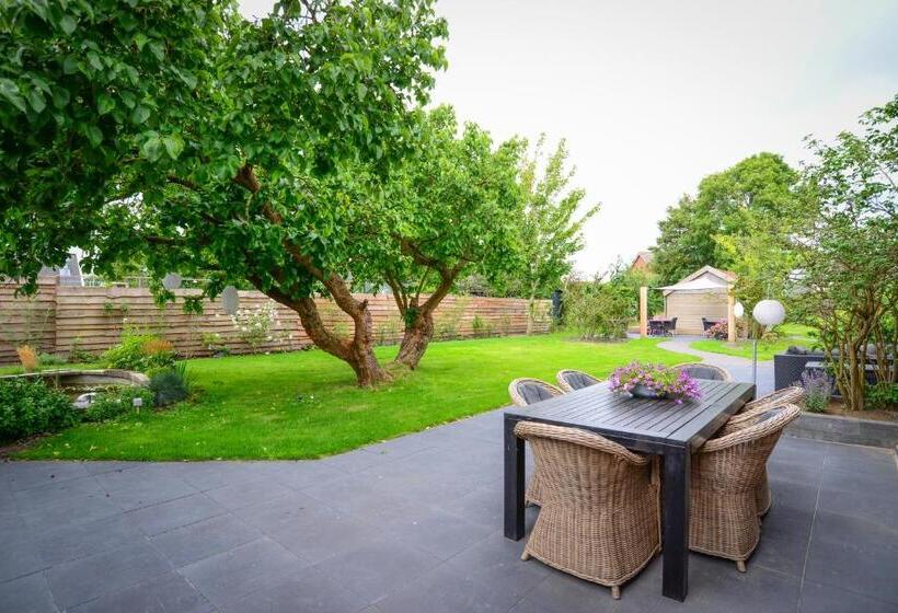 带大床的豪华间, De Moerbei