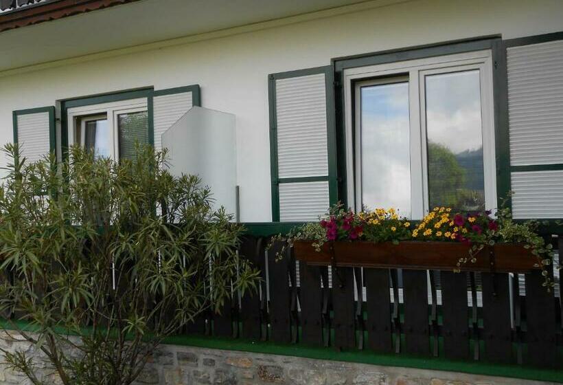Номер Deluxe Одноместный, Pension Gierlinger