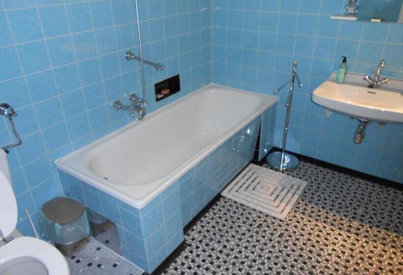 דירת שני חדרים, Pension Gierlinger