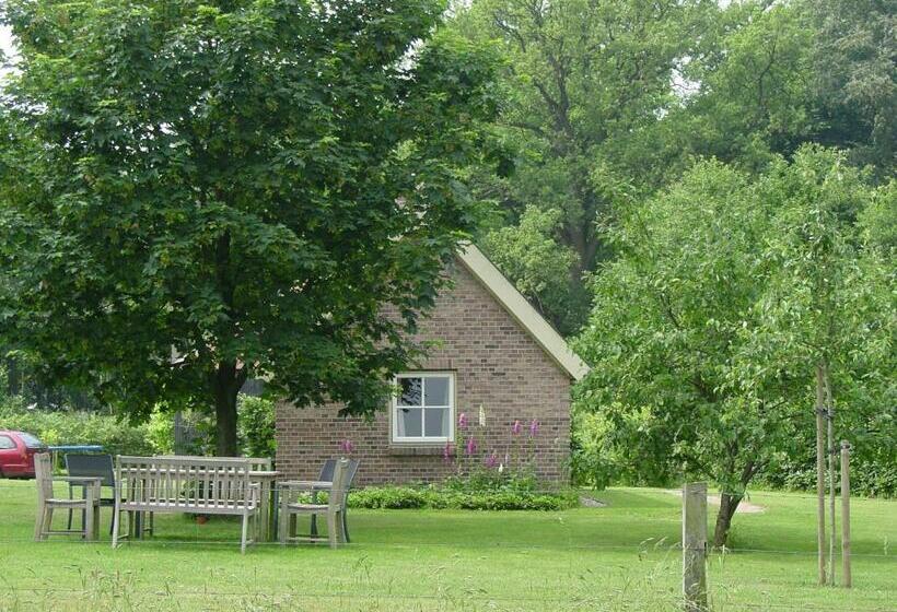 חדר סטנדרט, Erve Ziegers