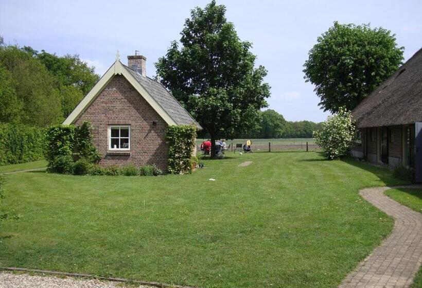 חדר סטנדרט, Erve Ziegers