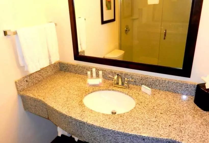 身障者適用スタンダードルーム, Hilton Garden Inn Pascagoula