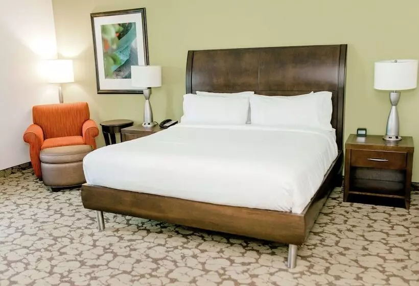 身障者適用スタンダードルーム, Hilton Garden Inn Pascagoula