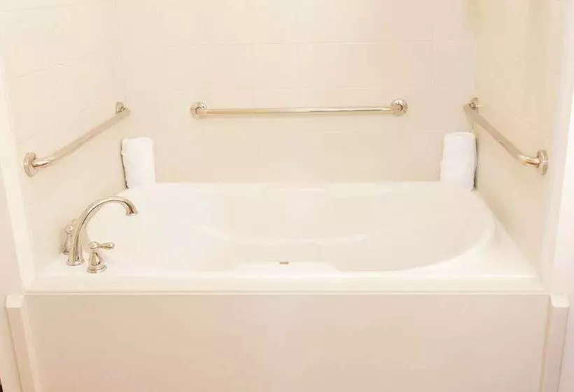 身障者適用スタンダードルーム, Hilton Garden Inn Pascagoula