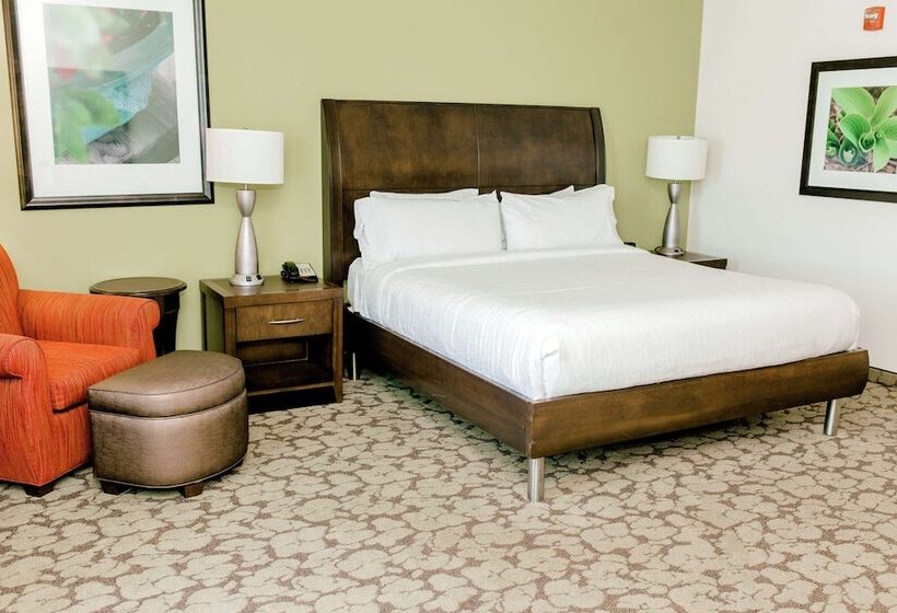 Номер Стандарт Адаптированный для Инвалидов, Hilton Garden Inn Pascagoula