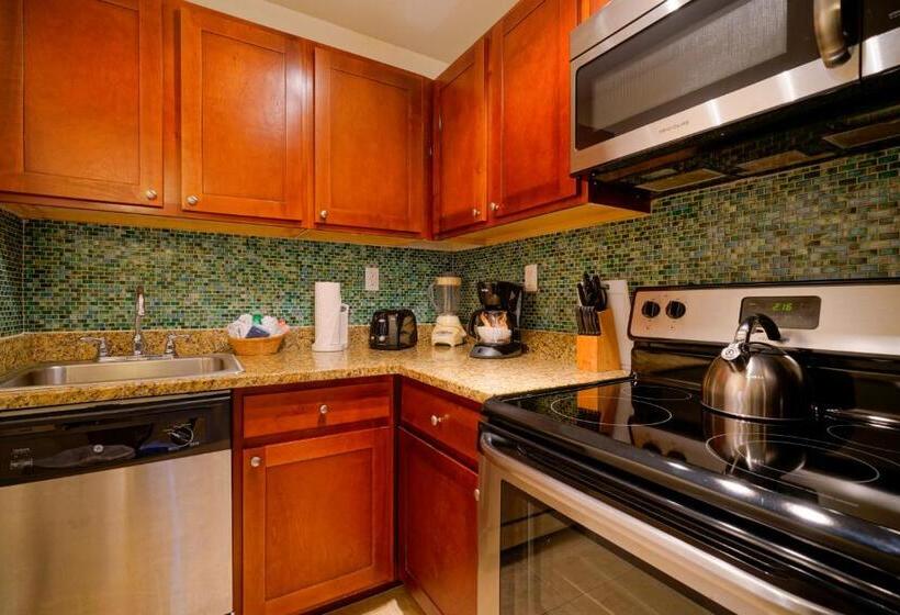 标准工作室带泳池景, La Costa Beach Club