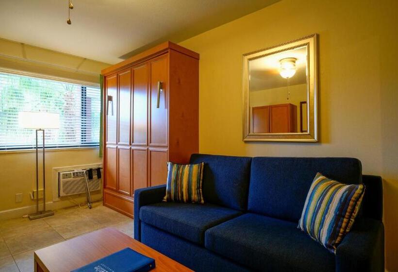 标准工作室带泳池景, La Costa Beach Club