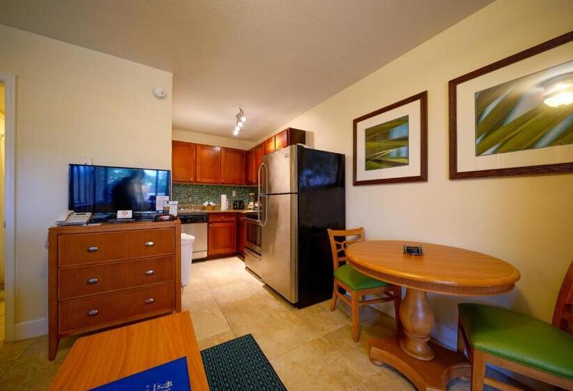 标准工作室带泳池景, La Costa Beach Club