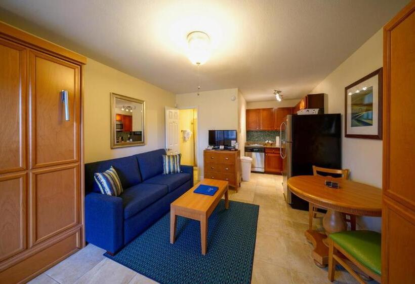 标准工作室带泳池景, La Costa Beach Club