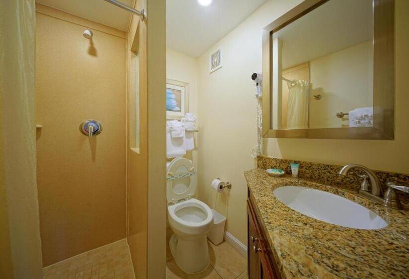 标准工作室带泳池景, La Costa Beach Club