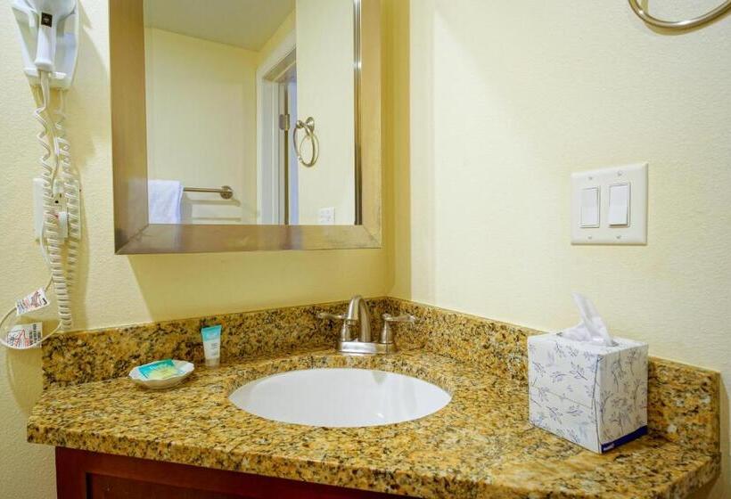 标准工作室带泳池景, La Costa Beach Club