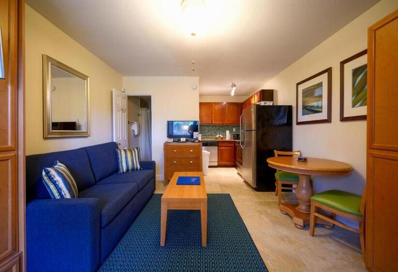 标准工作室带泳池景, La Costa Beach Club