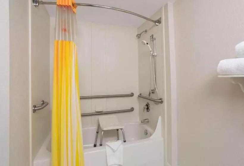 身障者適用キングサイズベッドルーム, La Quinta By Wyndham Denver Southwest Lakewood
