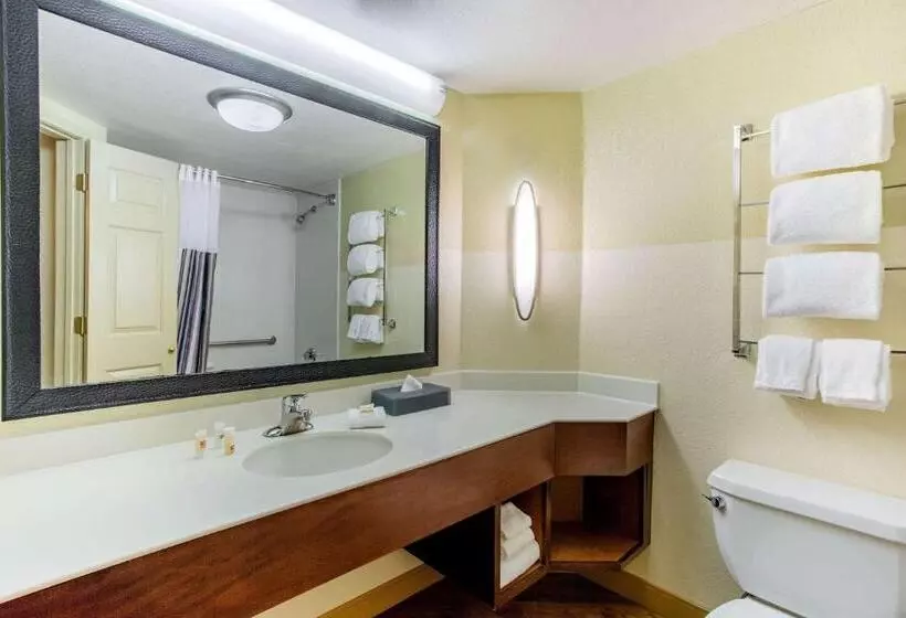 デラックスルーム, La Quinta By Wyndham Raleigh Crabtree