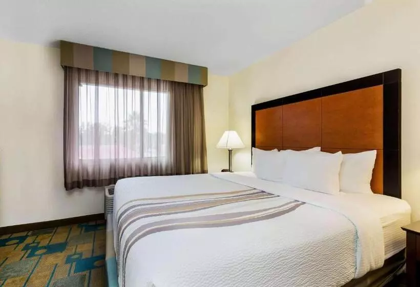 آپارتمان 1 خوابه, La Quinta By Wyndham St. Pete Clearwater Airport