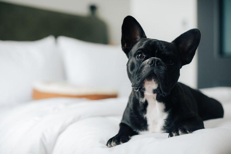 اتاق لوکس, La Quinta By Wyndham Tucson Airport