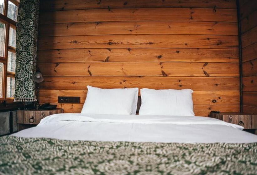 スタンダードスタジオ, Dudi̇ Konak