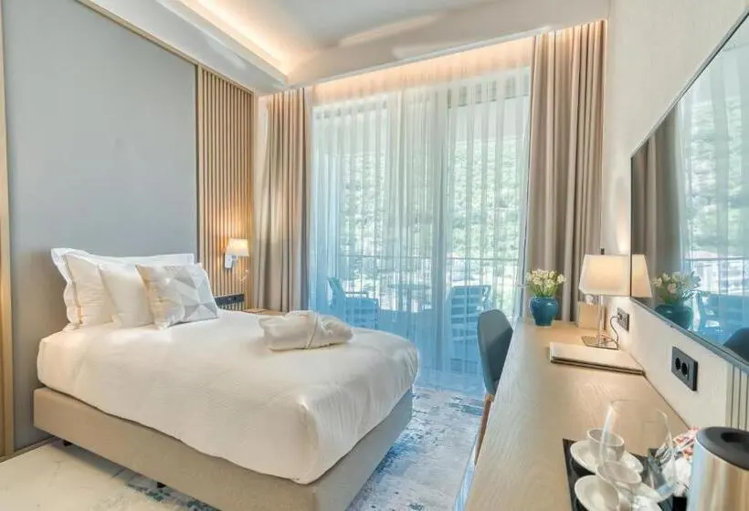 اتاق استاندارد یک نفره, Hyatt Regency Kotor Bay Resort