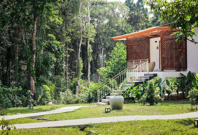 اتاق سوپریور, La Passion By Achariyak