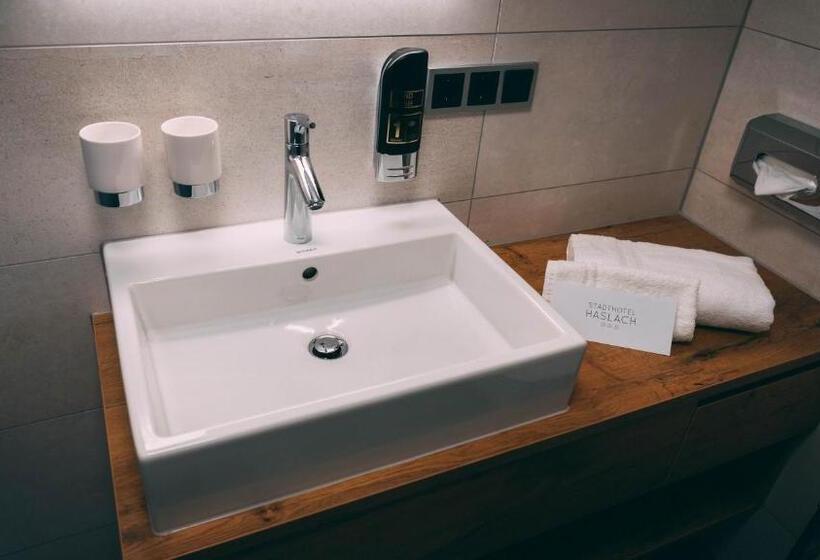Standard Yhden Hengen Huone, Stadthotel Haslach