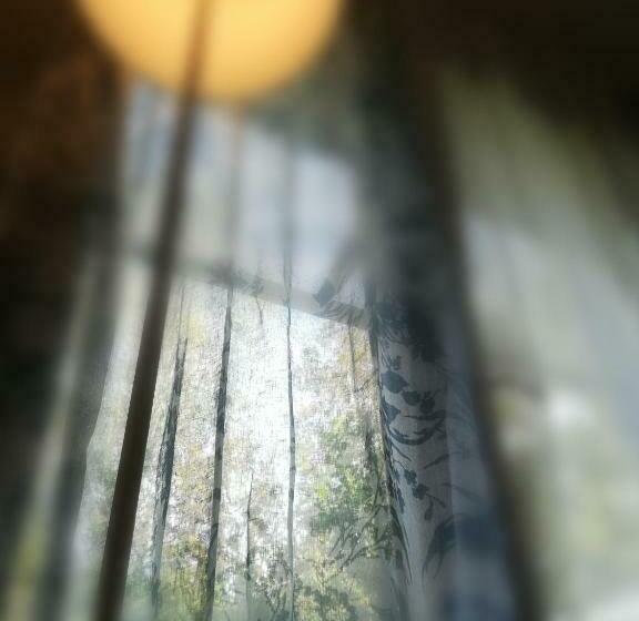 غرفة ديلوكس مطلّة علي الحديقة, La Libellula