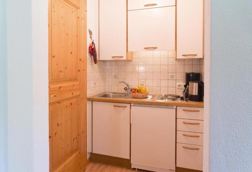 Standard Studio with Balcony, Landhaus Zauser