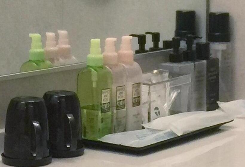 Номер Deluxe, Villa The Club Karuizawa