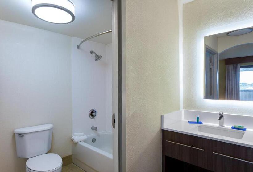 带大床的套房, Holiday Inn Express Hotel & Suites King Of Prussia, An Ihg