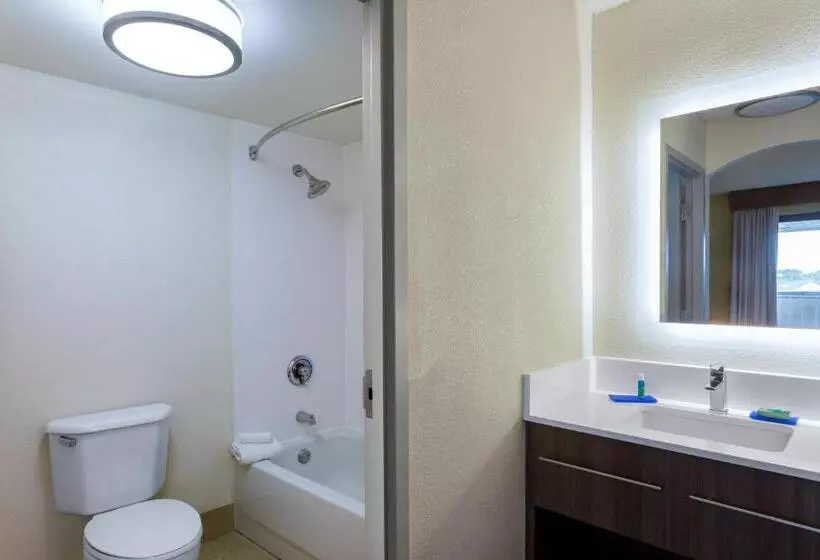 キングサイズベッドのスイートルーム, Holiday Inn Express Hotel & Suites King Of Prussia, An Ihg