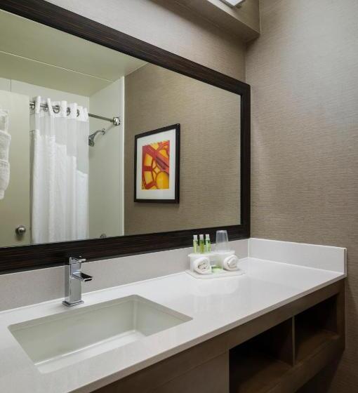 带大床的标准间, Holiday Inn Express Hotel & Suites King Of Prussia, An Ihg