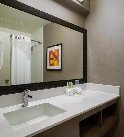 キングサイズベッドのスタンダードルーム, Holiday Inn Express Hotel & Suites King Of Prussia, An Ihg
