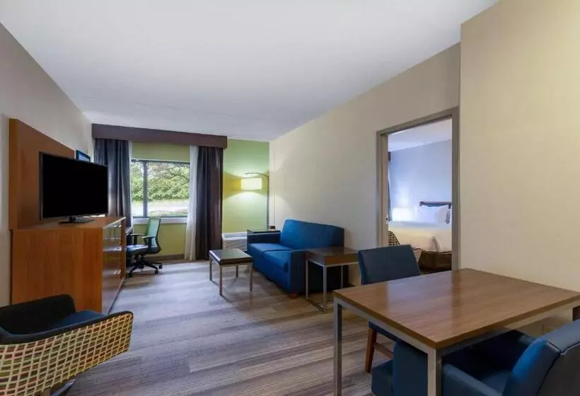 身障者適用スイートルーム, Holiday Inn Express Hotel & Suites King Of Prussia, An Ihg