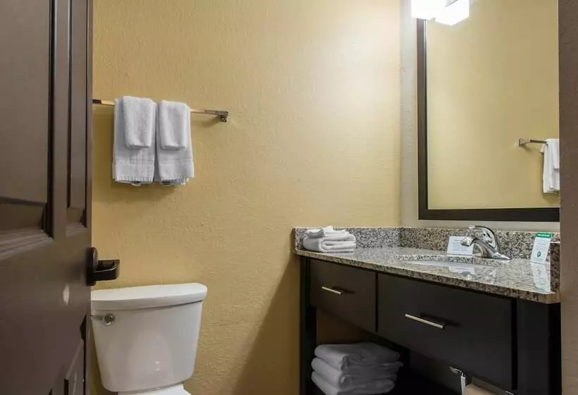 スイート, Mainstay Suites Pittsburgh Airport