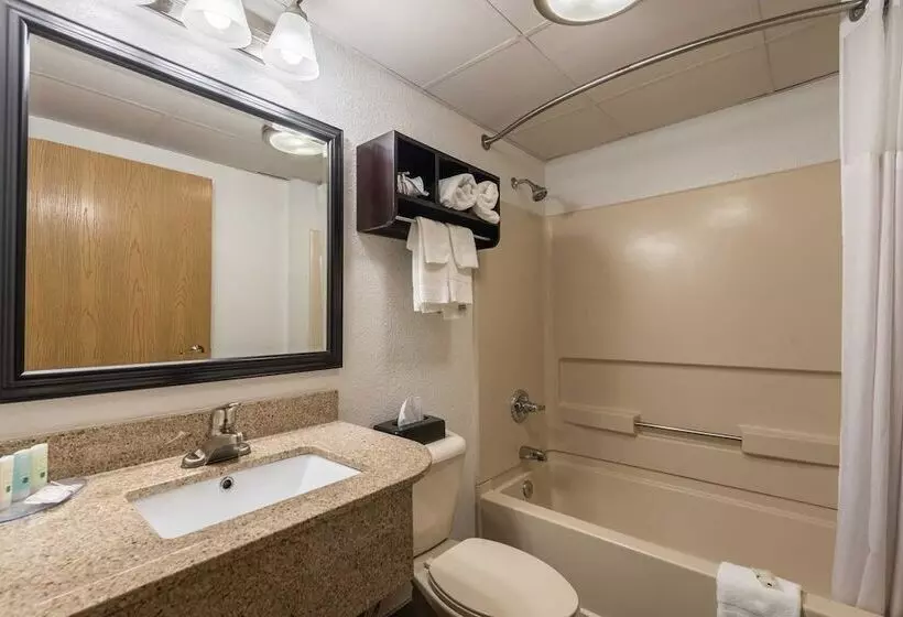 ２ダブルベッドのスタンダードルーム, Quality Inn Grove City  Columbus South