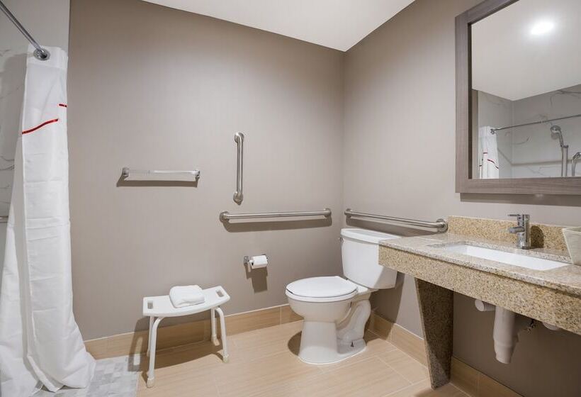 חדר דלוקס מותאם לאנשים עם מוגבלויות, Red Roof Inn Sulphur