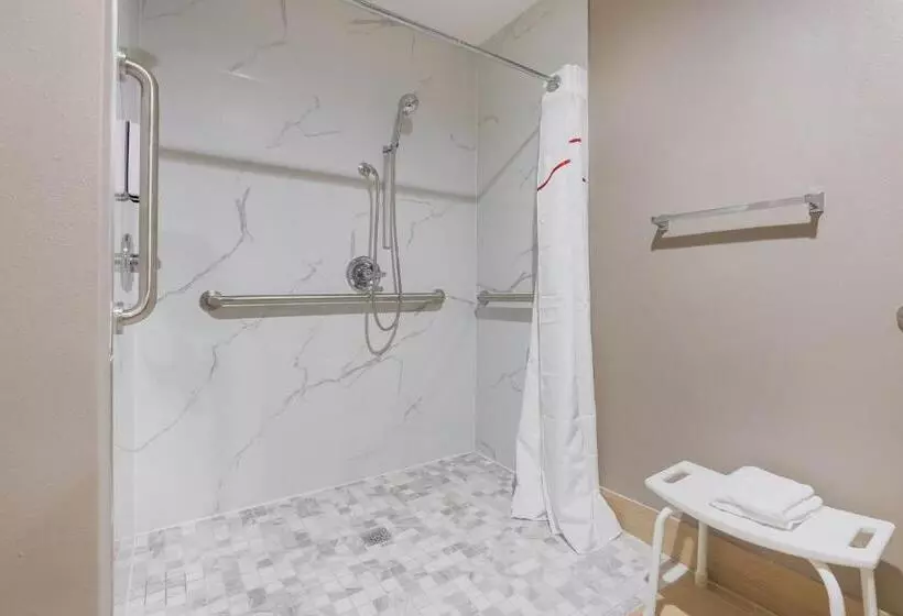 障害者適応デラックスルーム, Red Roof Inn Sulphur
