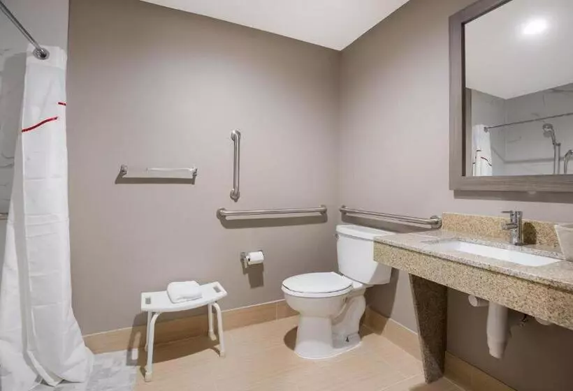 障害者適応デラックスルーム, Red Roof Inn Sulphur